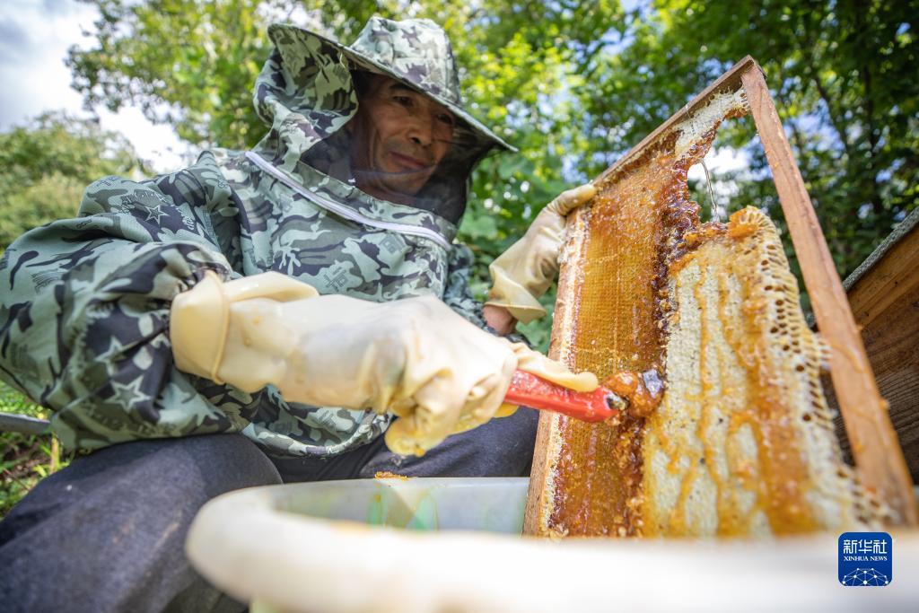 投注在线游戏